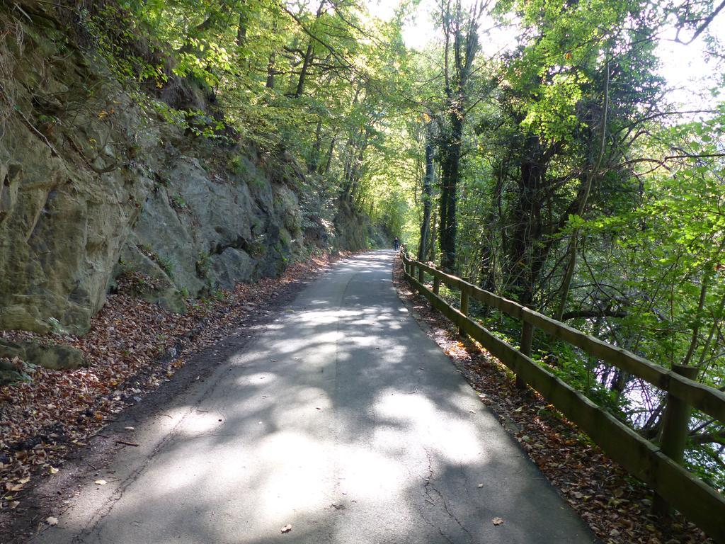 Ferienhaus Fischbachtal Heimbach Esterno foto