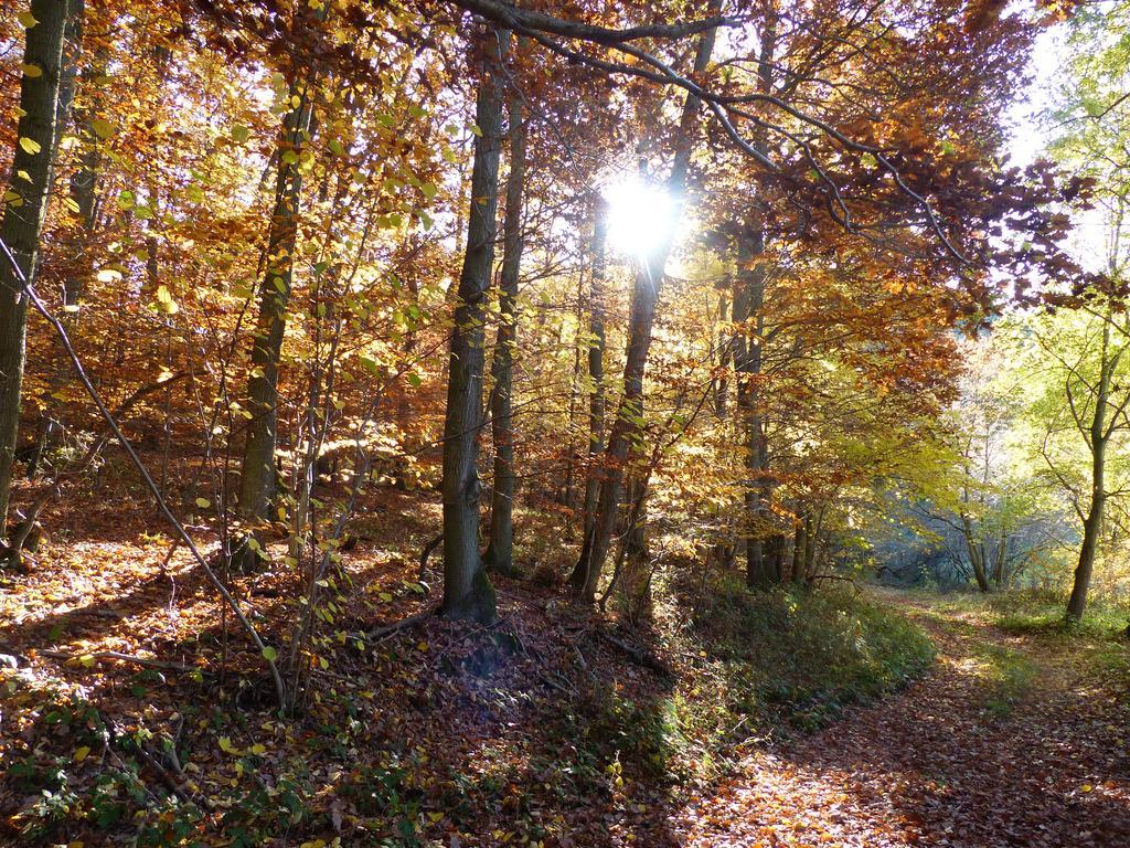 Ferienhaus Fischbachtal Heimbach Esterno foto